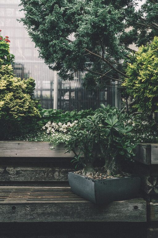 Tips for Creating a Relaxing Outdoor Space in Your Garden